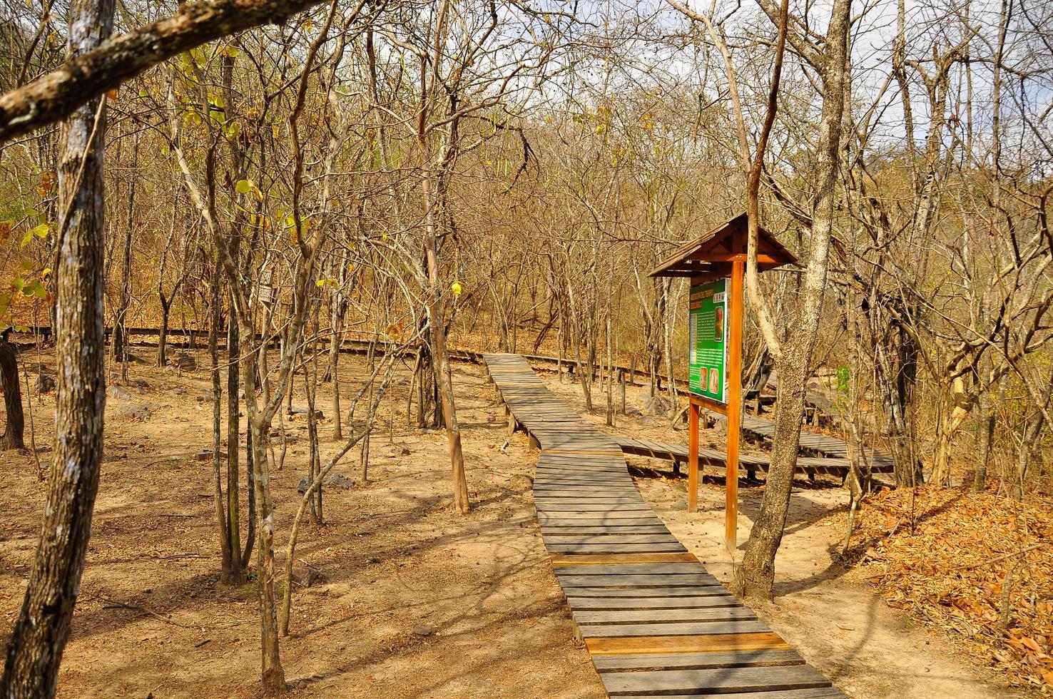 Puyango Petrified Forest photo