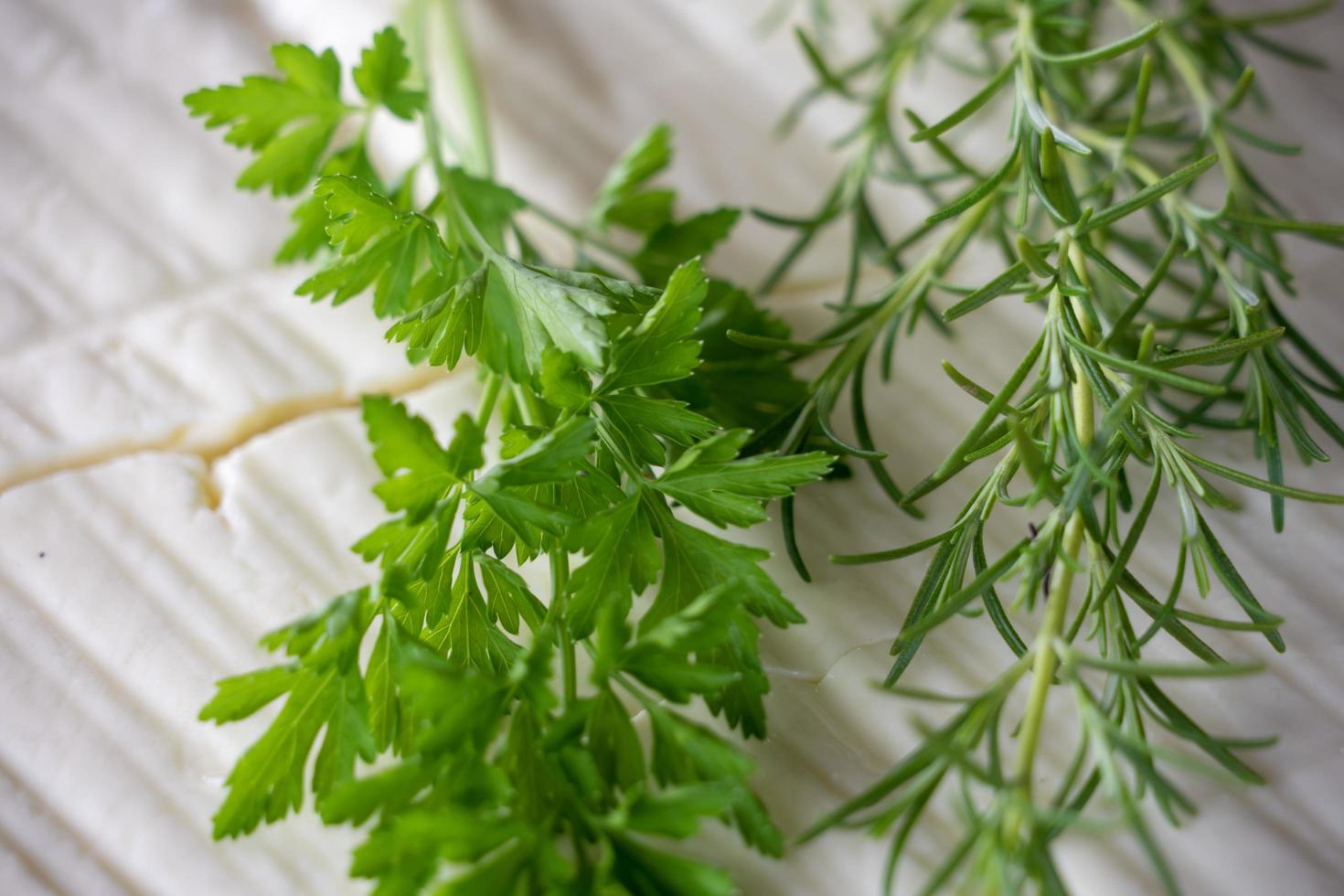 Huge cheese and fresh herbs photo