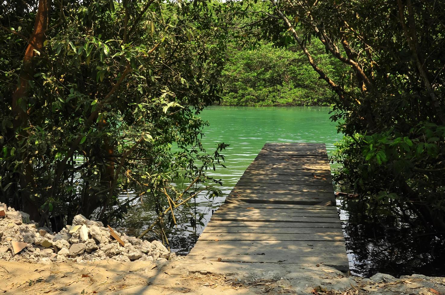 un muelle que conduce al agua verde foto