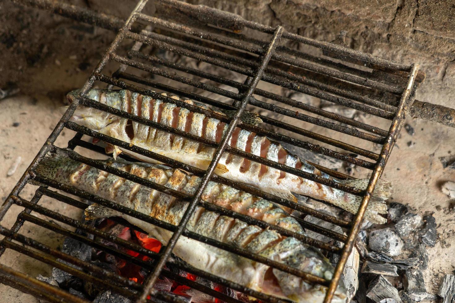 Cooking fish on a fire photo