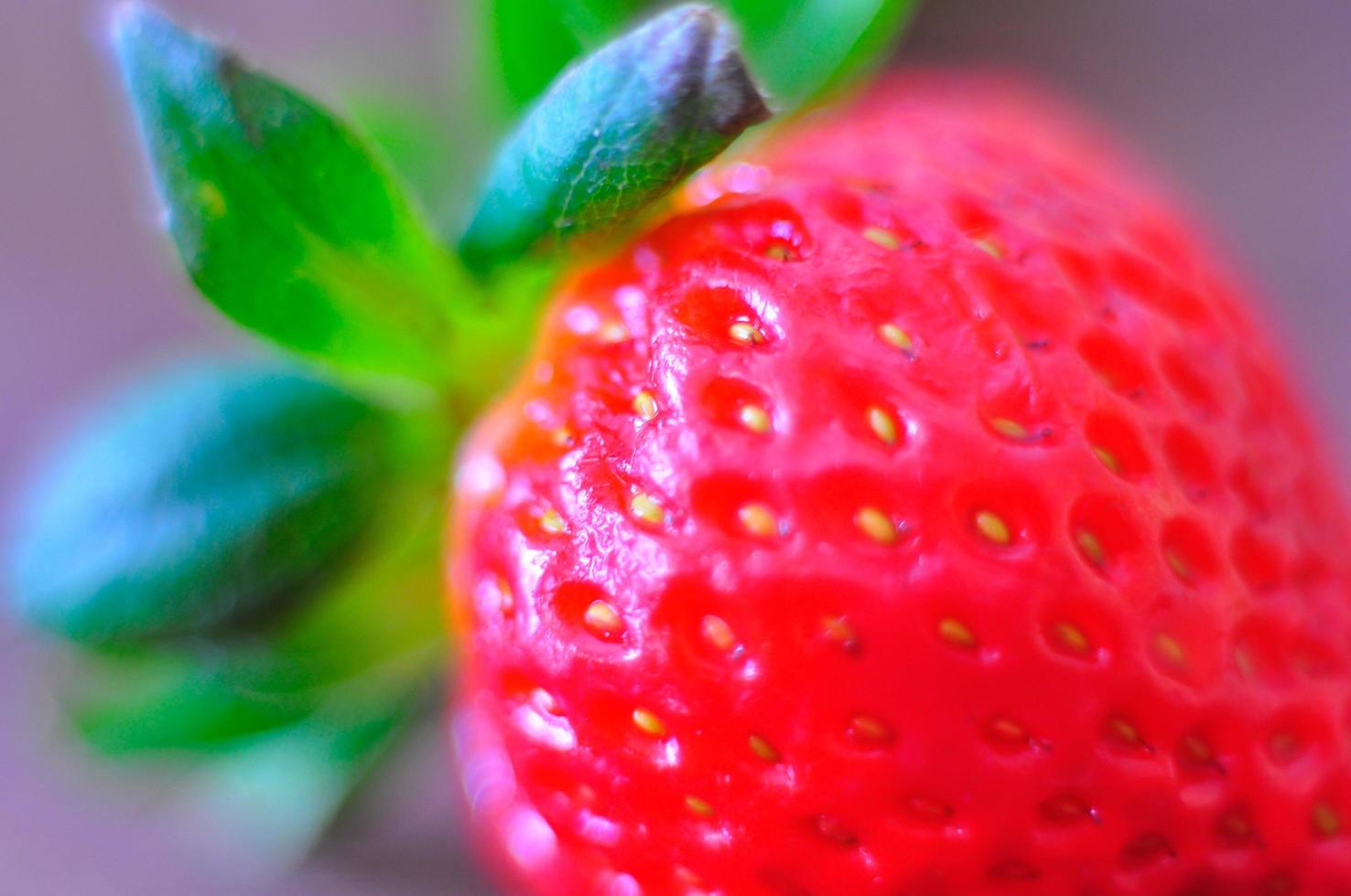 Close up of a strawberry photo