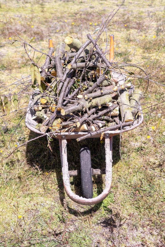 A wheelbarrow full of firewood 4529021 Stock Photo at Vecteezy