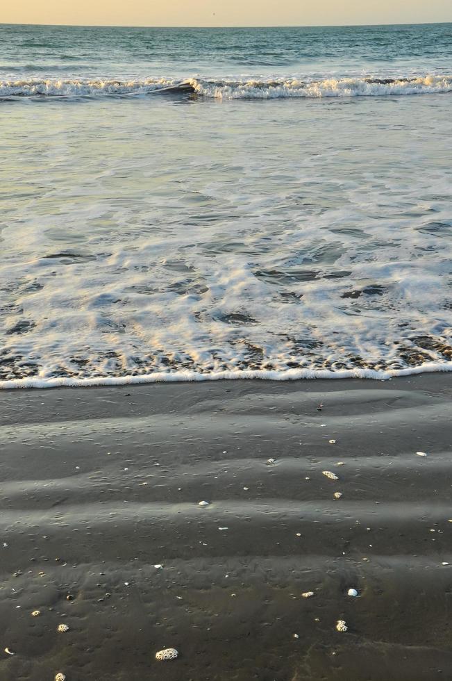 The beach at sunset photo