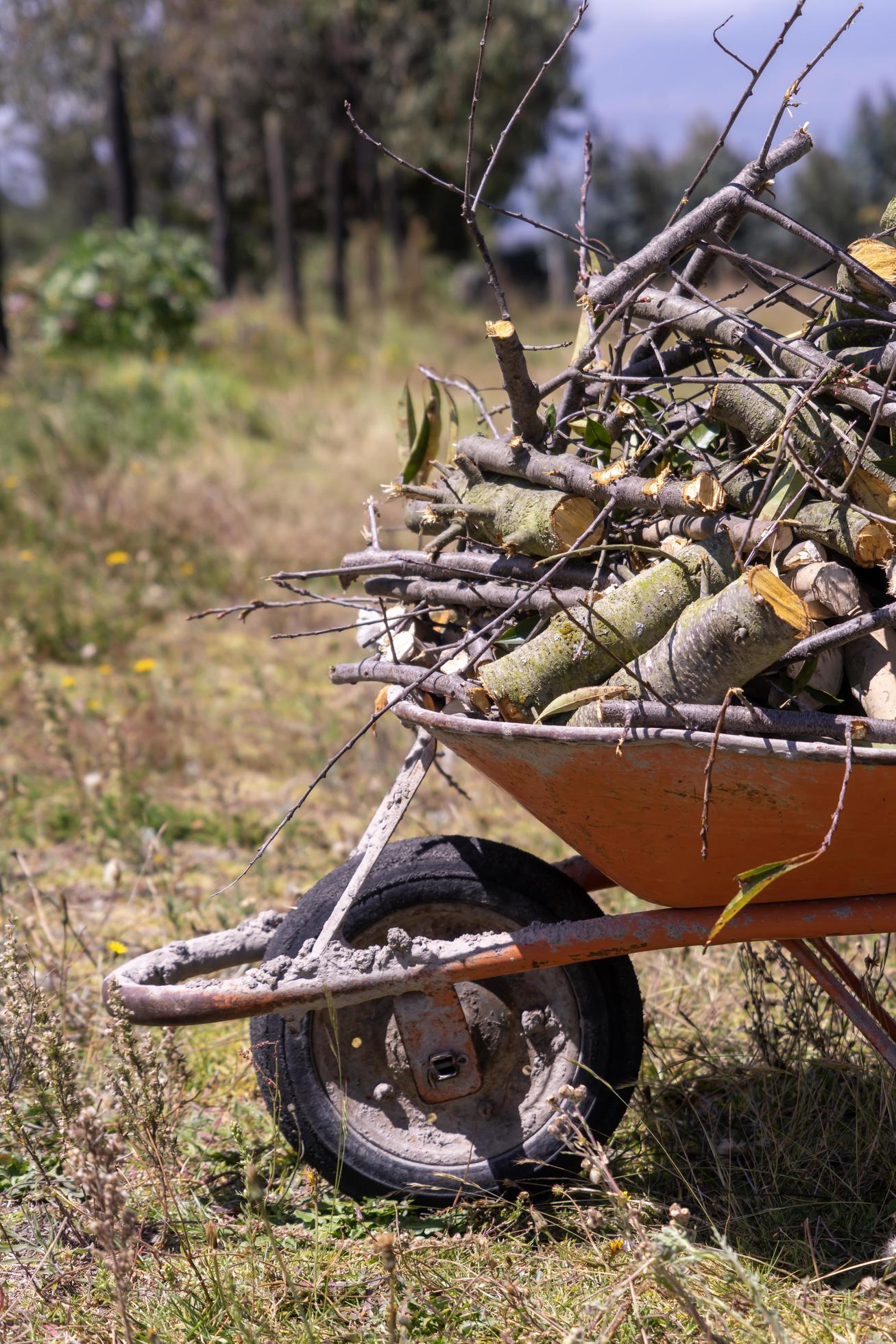 A wheelbarrow full of firewood 4529074 Stock Photo at Vecteezy