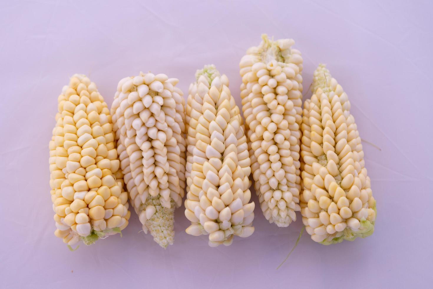 Corn on the cob photo