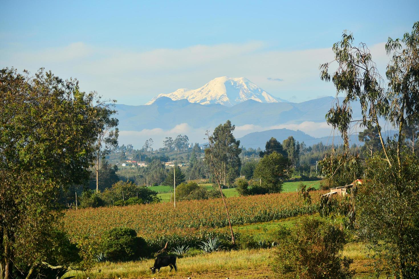 Chimborazo Volcano, Ecuador photo