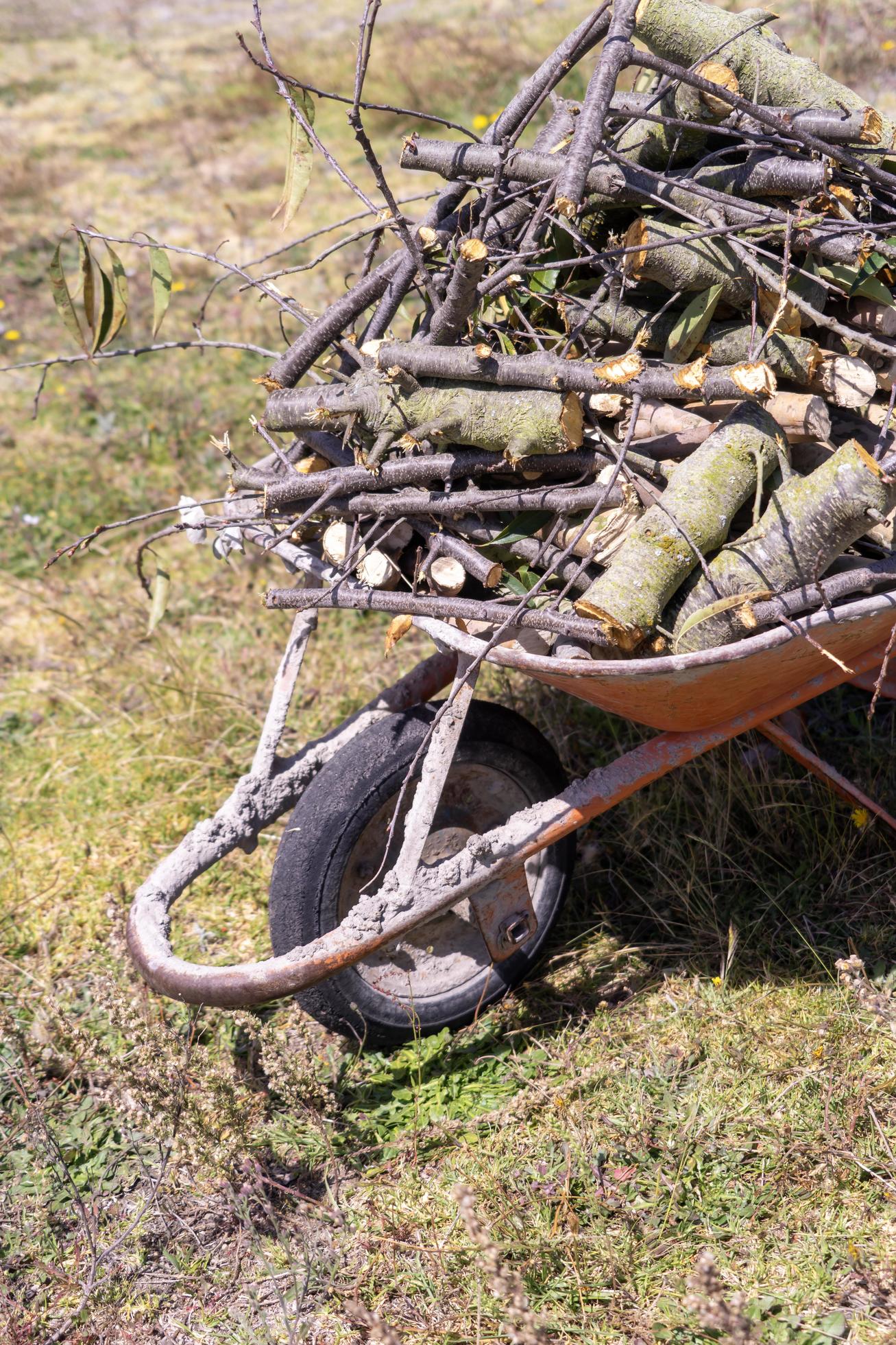 A wheelbarrow full of firewood 4529128 Stock Photo at Vecteezy