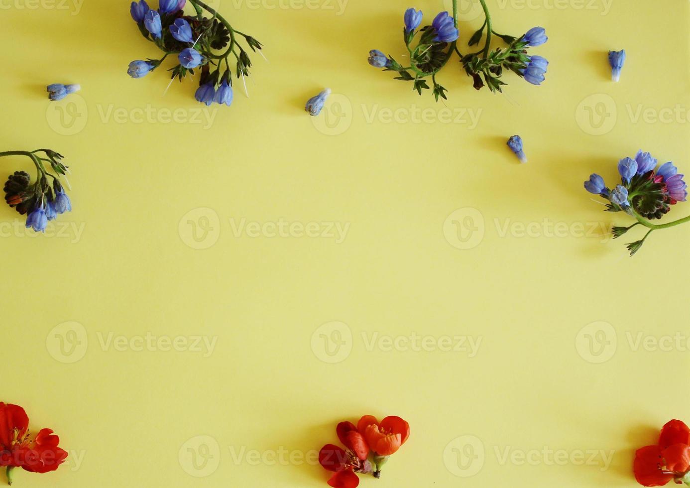 Yellow background with a frame flowers photo