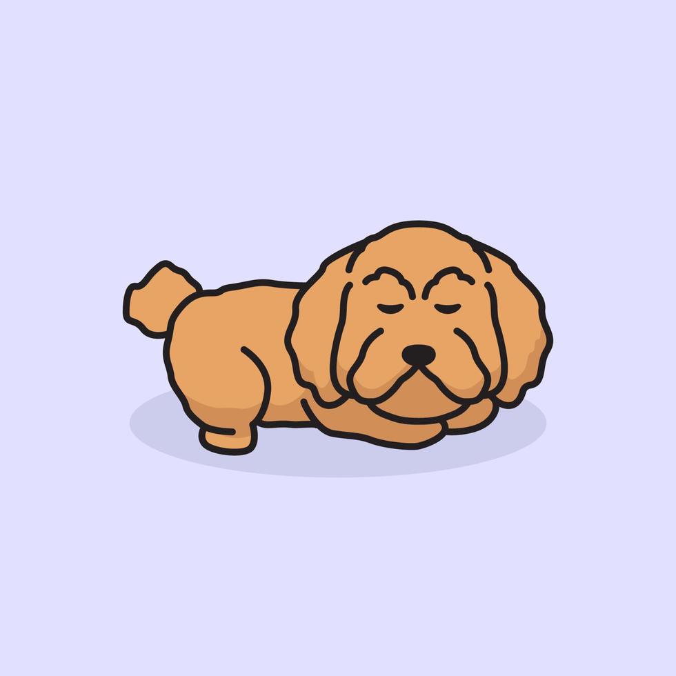 lindo perro mascota caniche vector