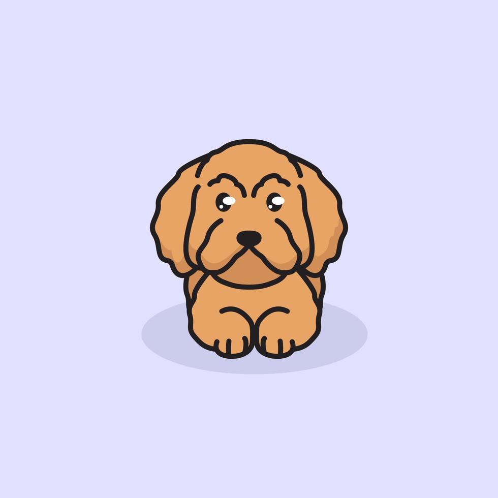 Cute dog mascot poodle vector