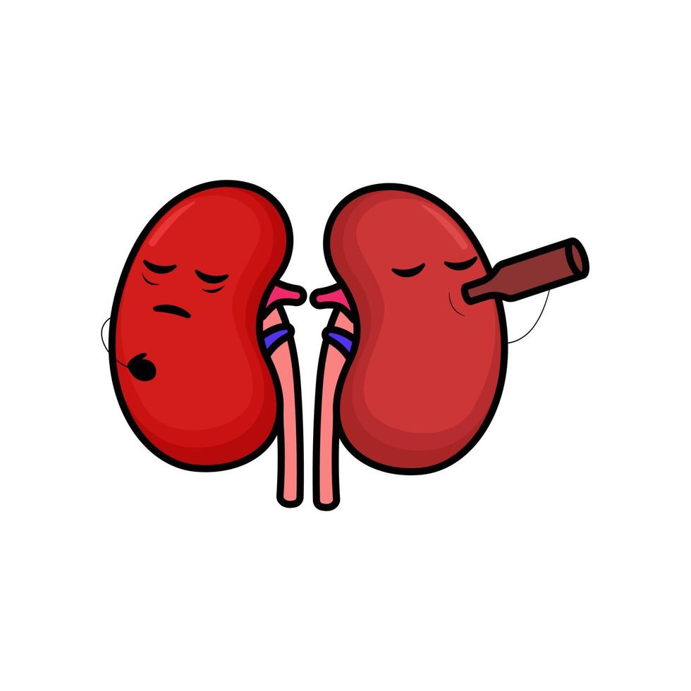 Cute kidney mascot vector