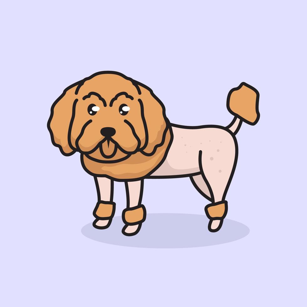 lindo perro mascota caniche vector