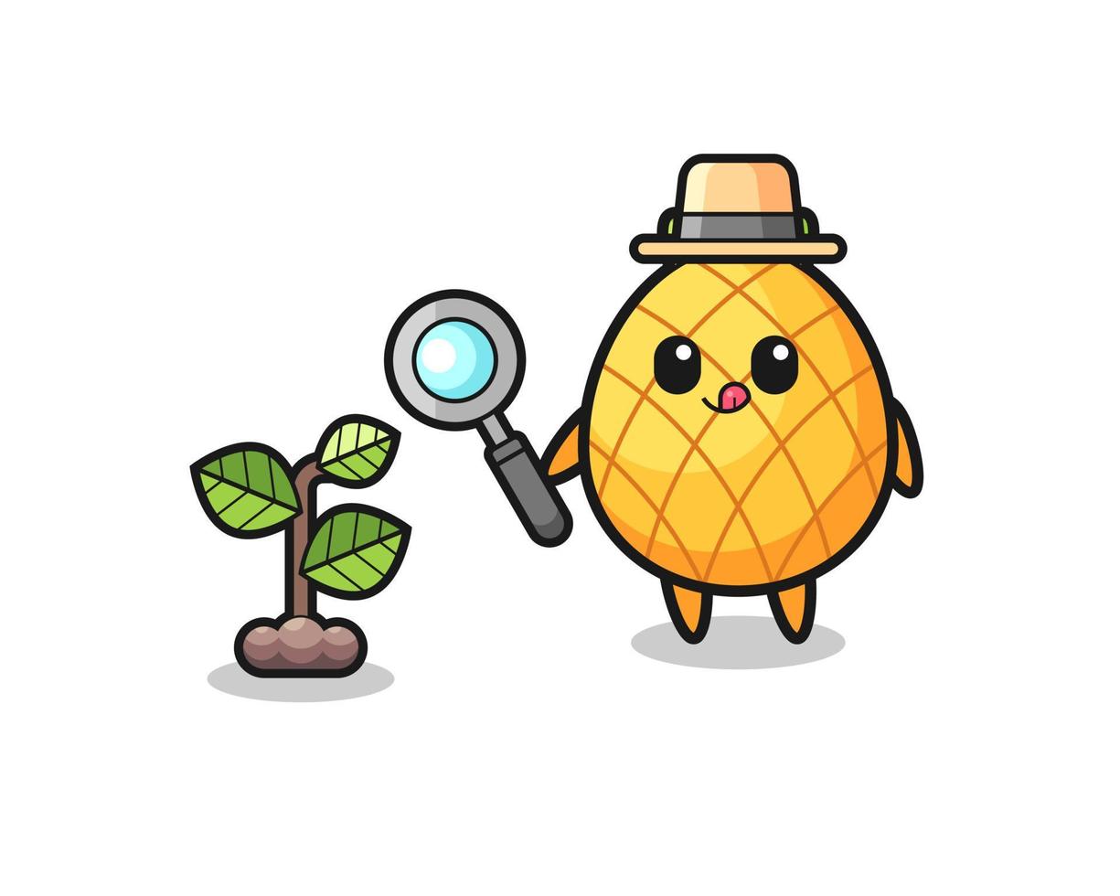 cute pineapple herbalist researching a plants vector