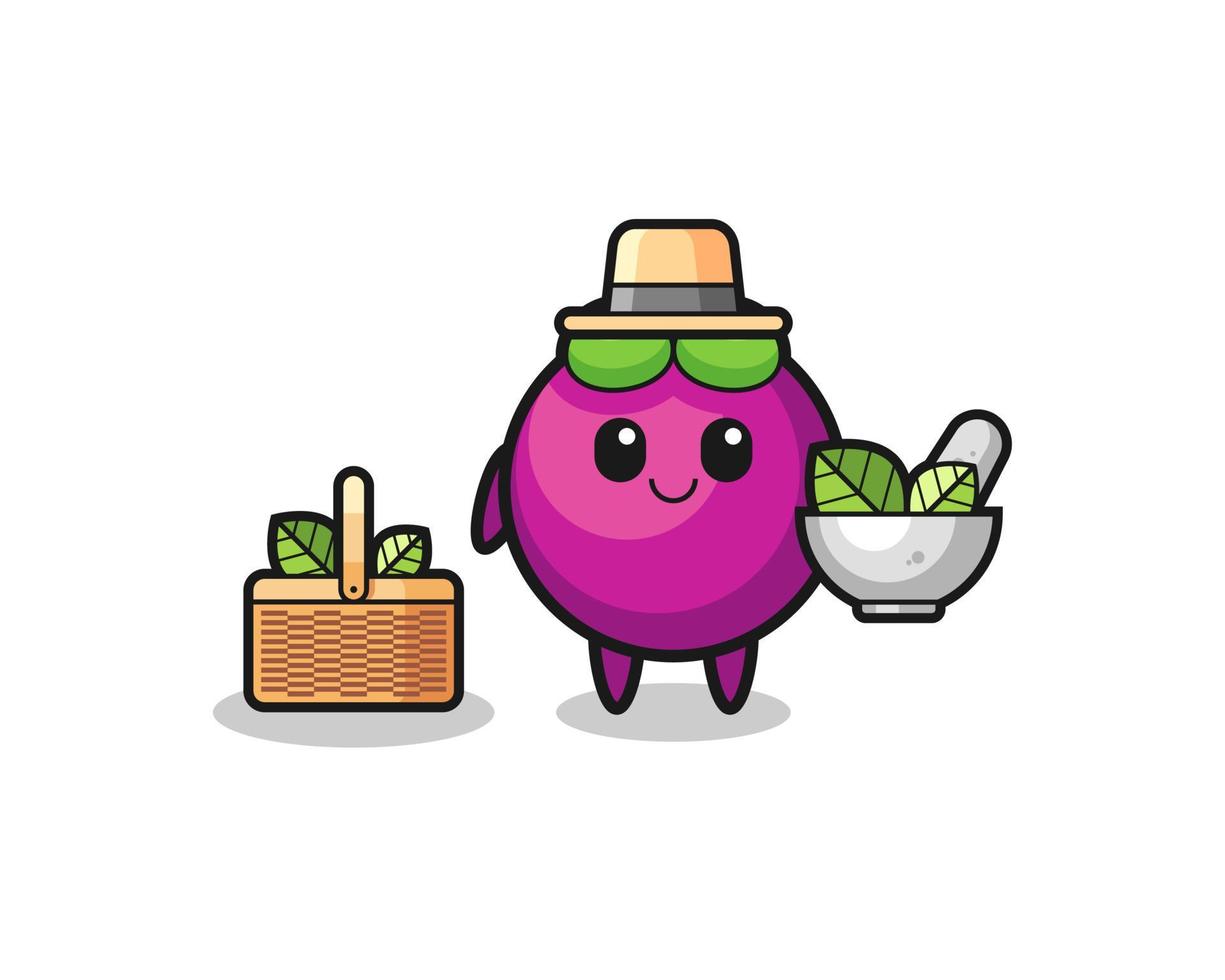 mangosteen herbalist cute cartoon vector