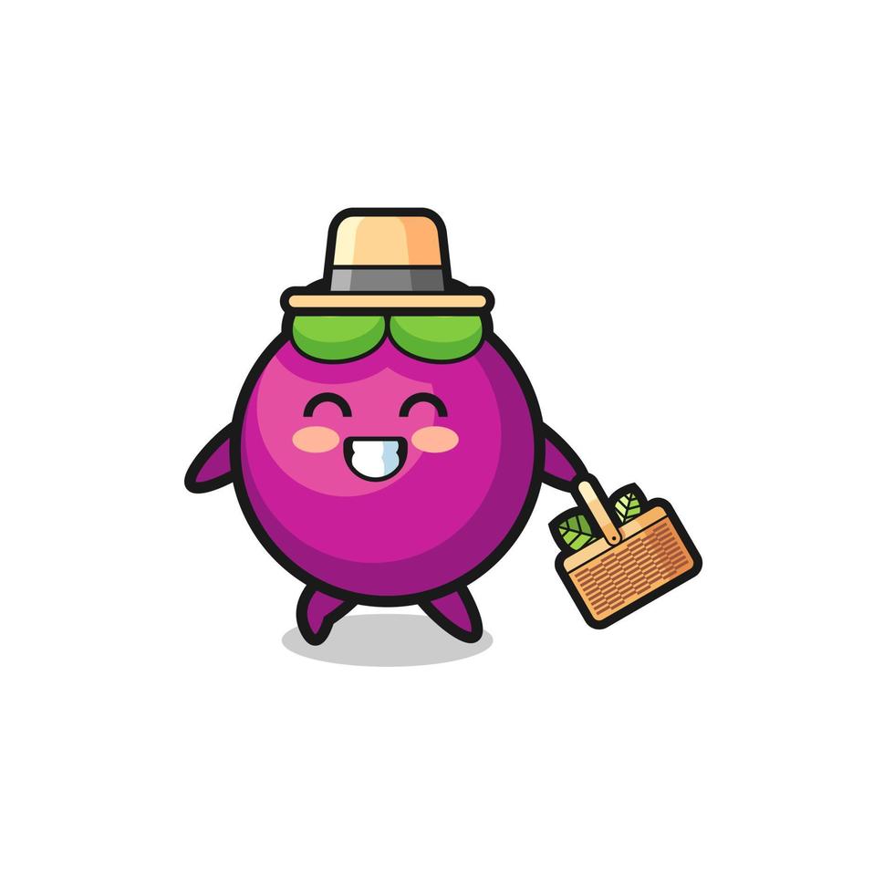 mangosteen herbalist character searching a herbal vector