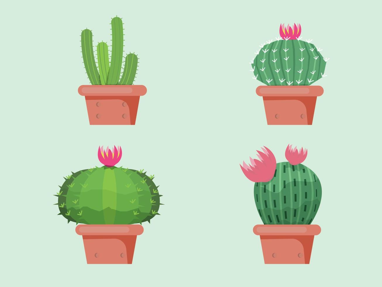 Green Cactus ,bright cacti flowers isolated on white background.design vector illustrator