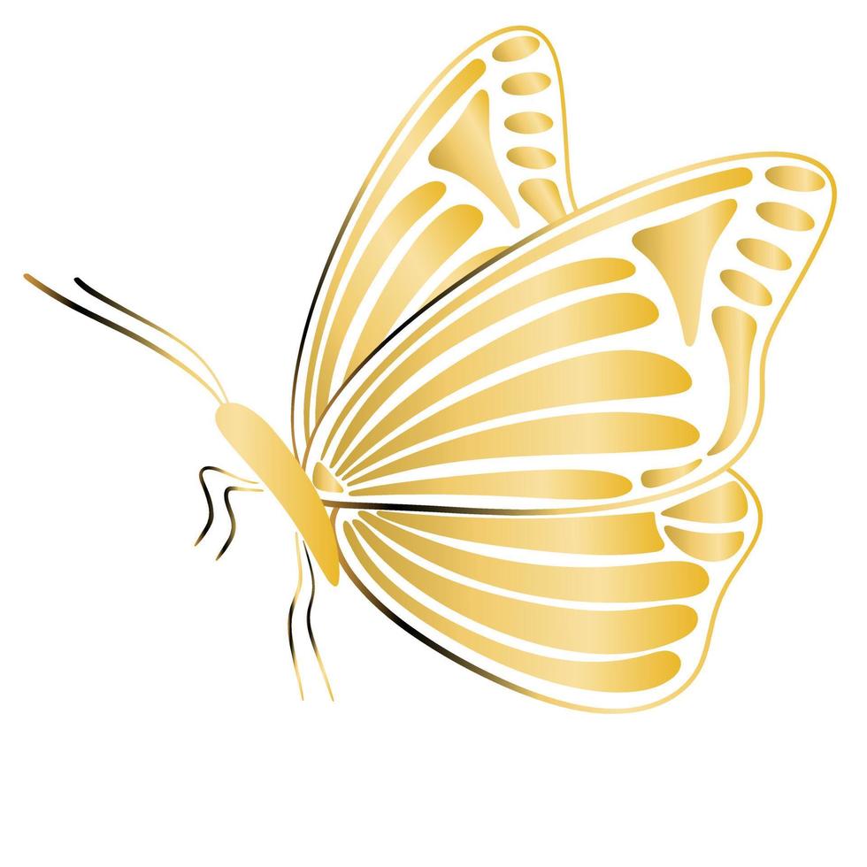 Gold butterfly in profile isolated illustration vector