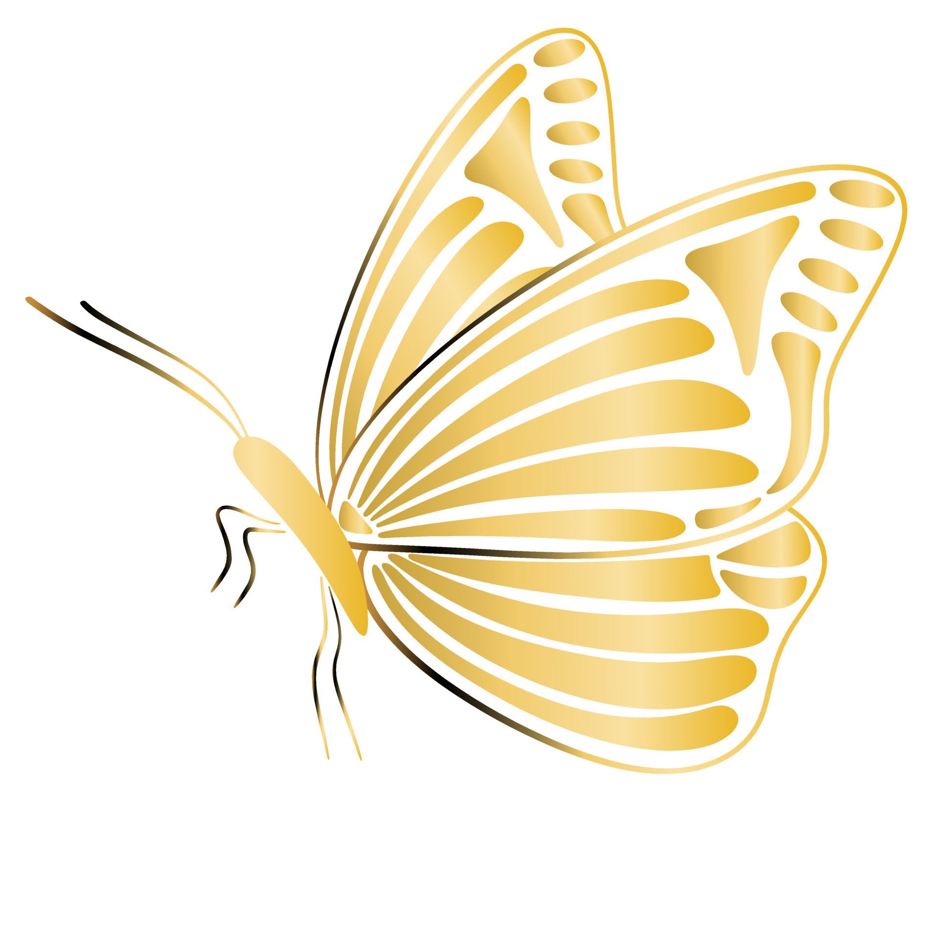 Gold butterfly in profile isolated illustration 4532673 Vector Art at  Vecteezy