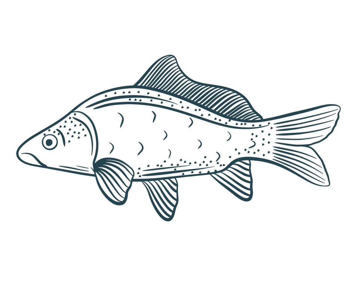 Fish hand sketch vector illustration