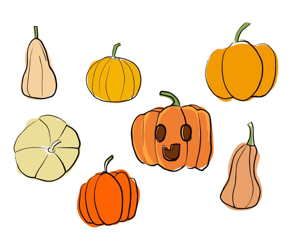 conjunto de calabazas de estilo doodle dibujadas a mano aisladas. ilustración vectorial eps10 vector