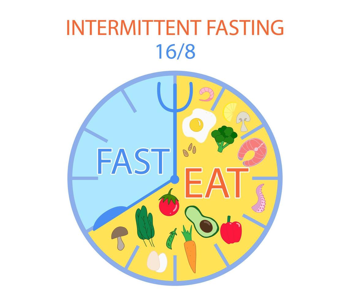Concept of 16 to 8 intermittent fasting. Isolated clock with meal schedule with healthy keto foods inside. Vector EPS 10