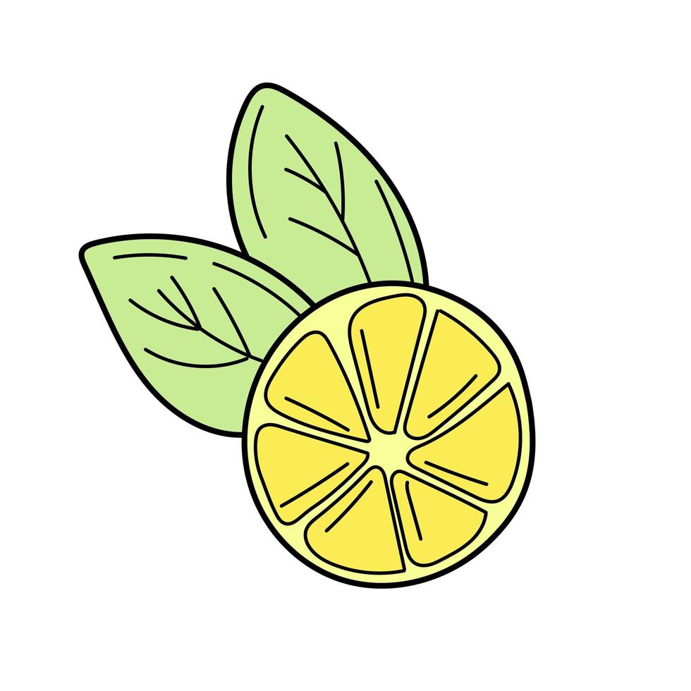 Vector hand drawn lemon. Tropical fruit. Sketch. Doodle. Summer design