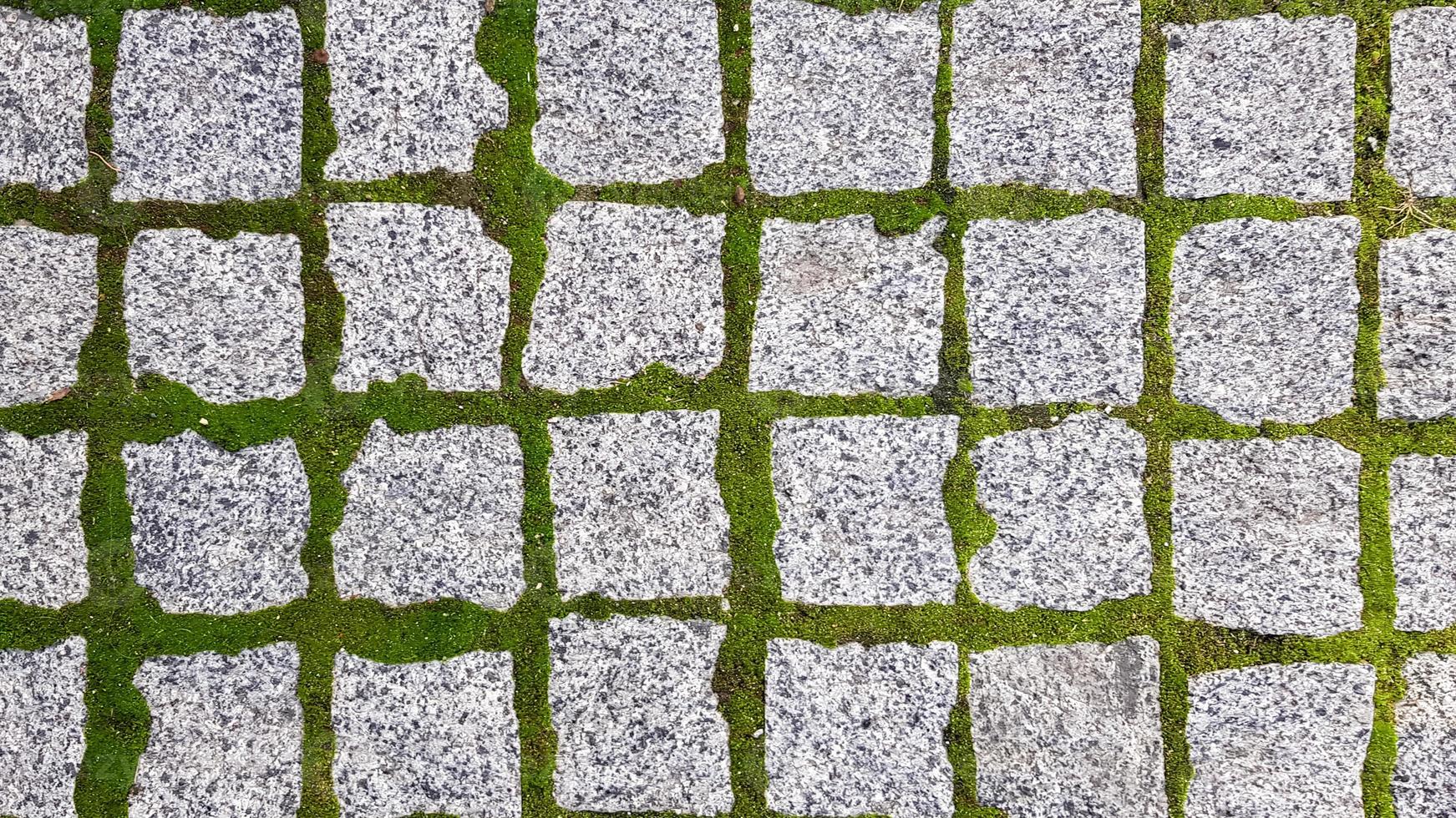 The texture of the paved tile of the street. Concrete paving slabs. Paving slabs. Grass between the slabs. Texture of paving slabs overgrown with grass. Background image of a stratum stone photo