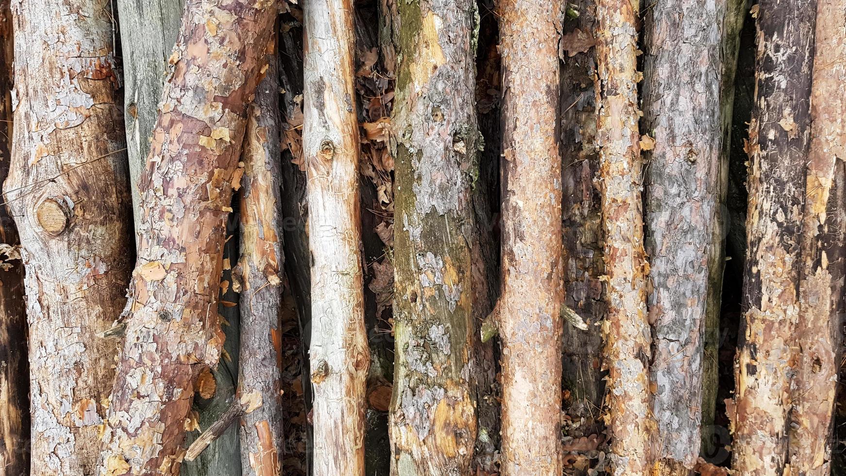 Firewood on big pile , top view, beautiful wooden logs. background of stacked logs top view from the drone. pile stacked natural sawn wooden logs background photo