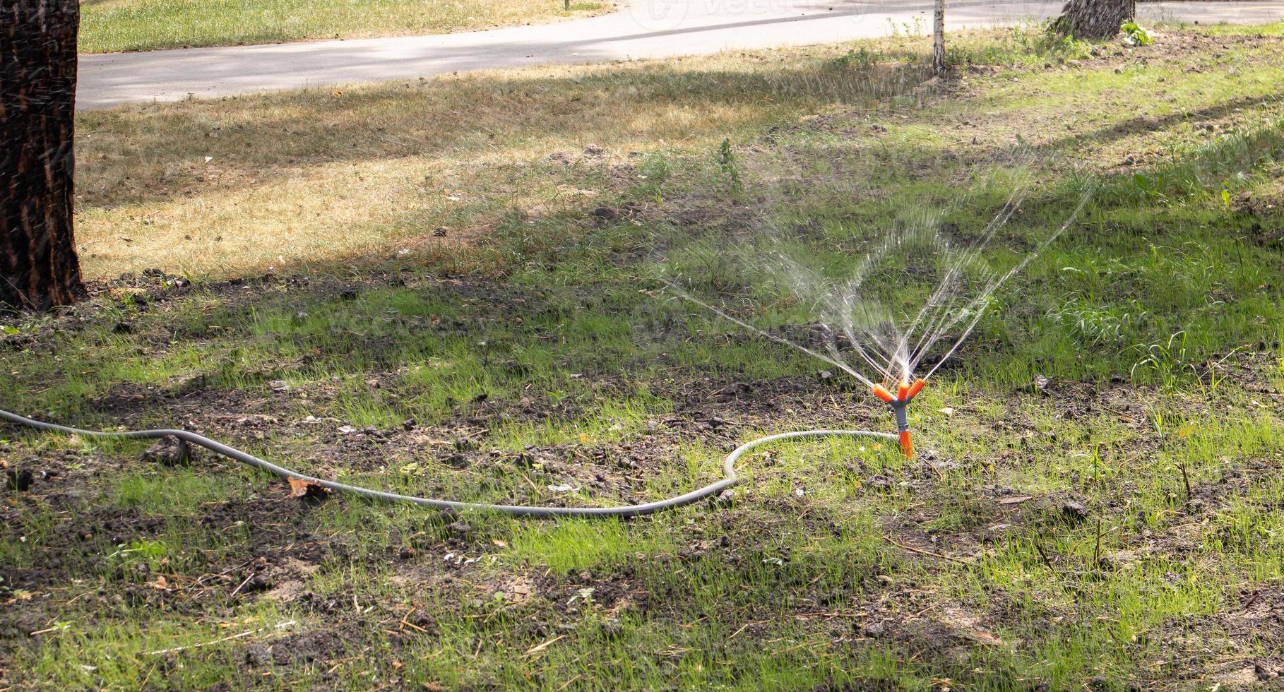 Lawn irrigation system working in a green park. Spraying the lawn with water in hot weather. Automatic sprinkler. The automatic watering sprinkler head watering the lawn. Smart garden. photo