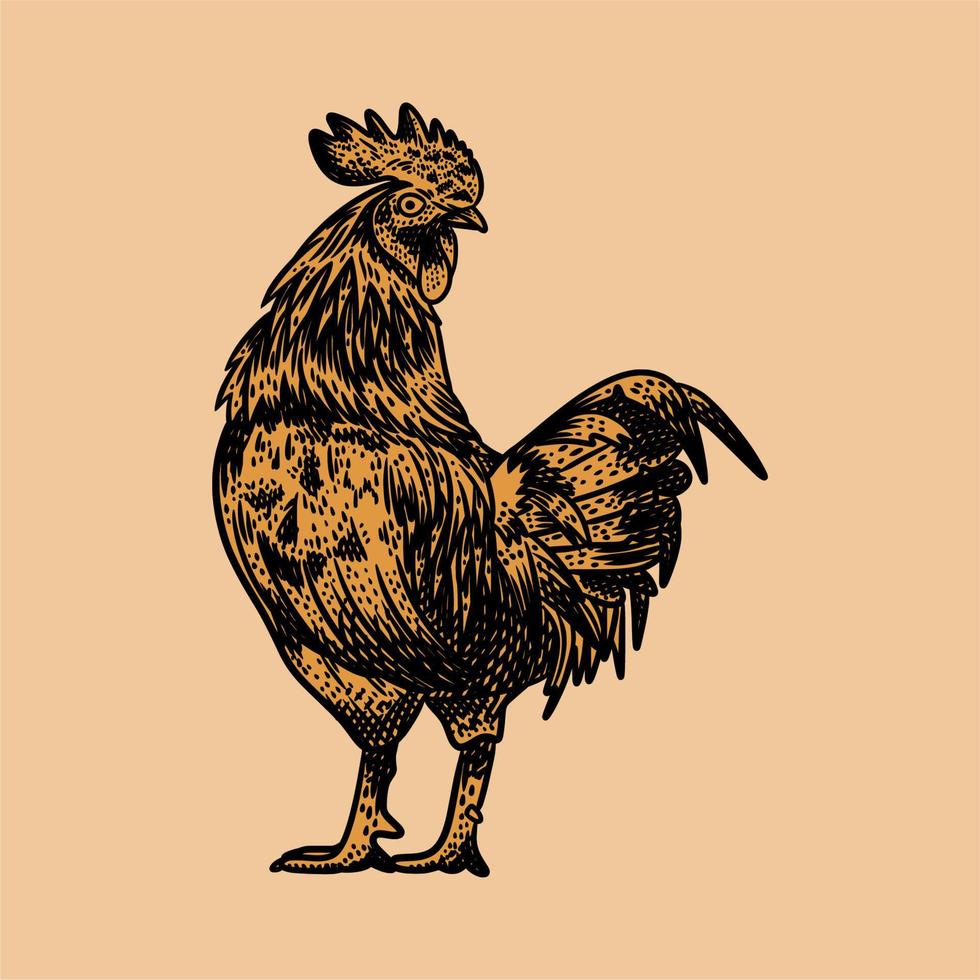 vintage illustration rooster with engraving style vector