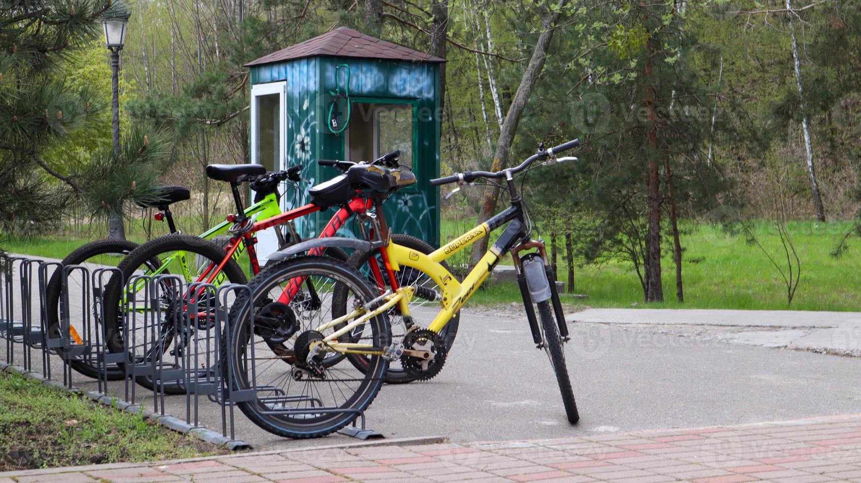 Varias bicicletas que no se alquilan están ancladas en el estacionamiento del parque de la ciudad. foto