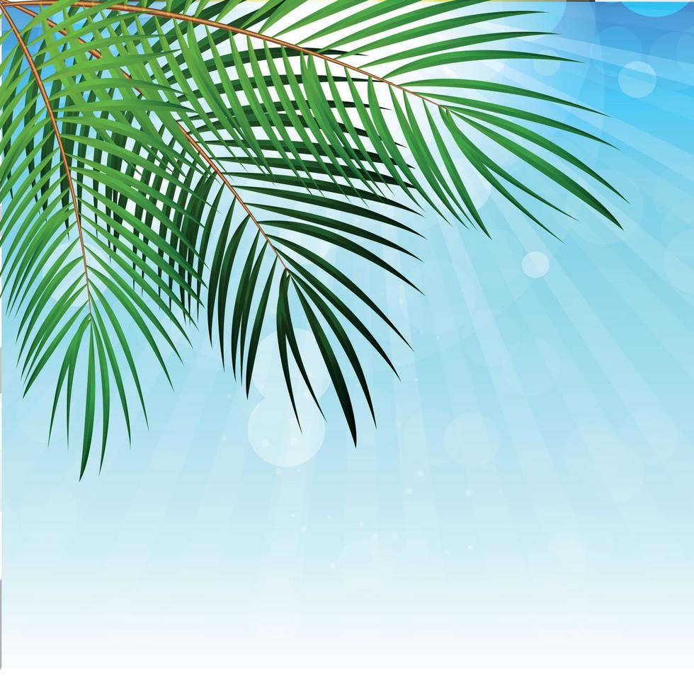 Palm Leaf Vector Background Illustration