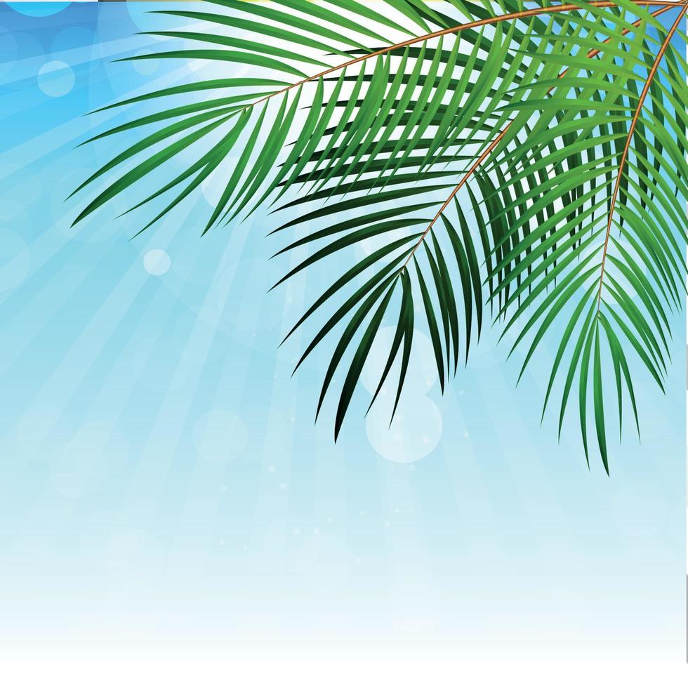 Palm Leaf Vector Background Illustration