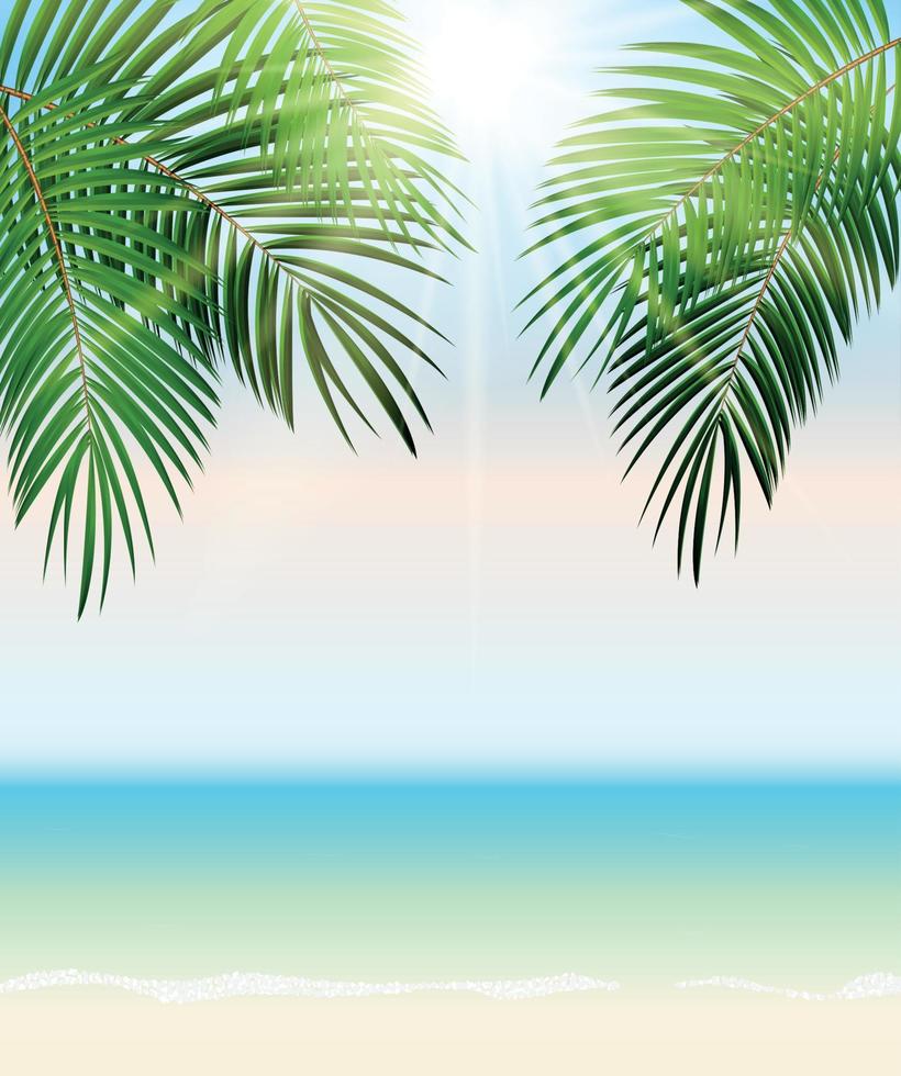 Summer Time Palm Leaf Vector Background Illustration