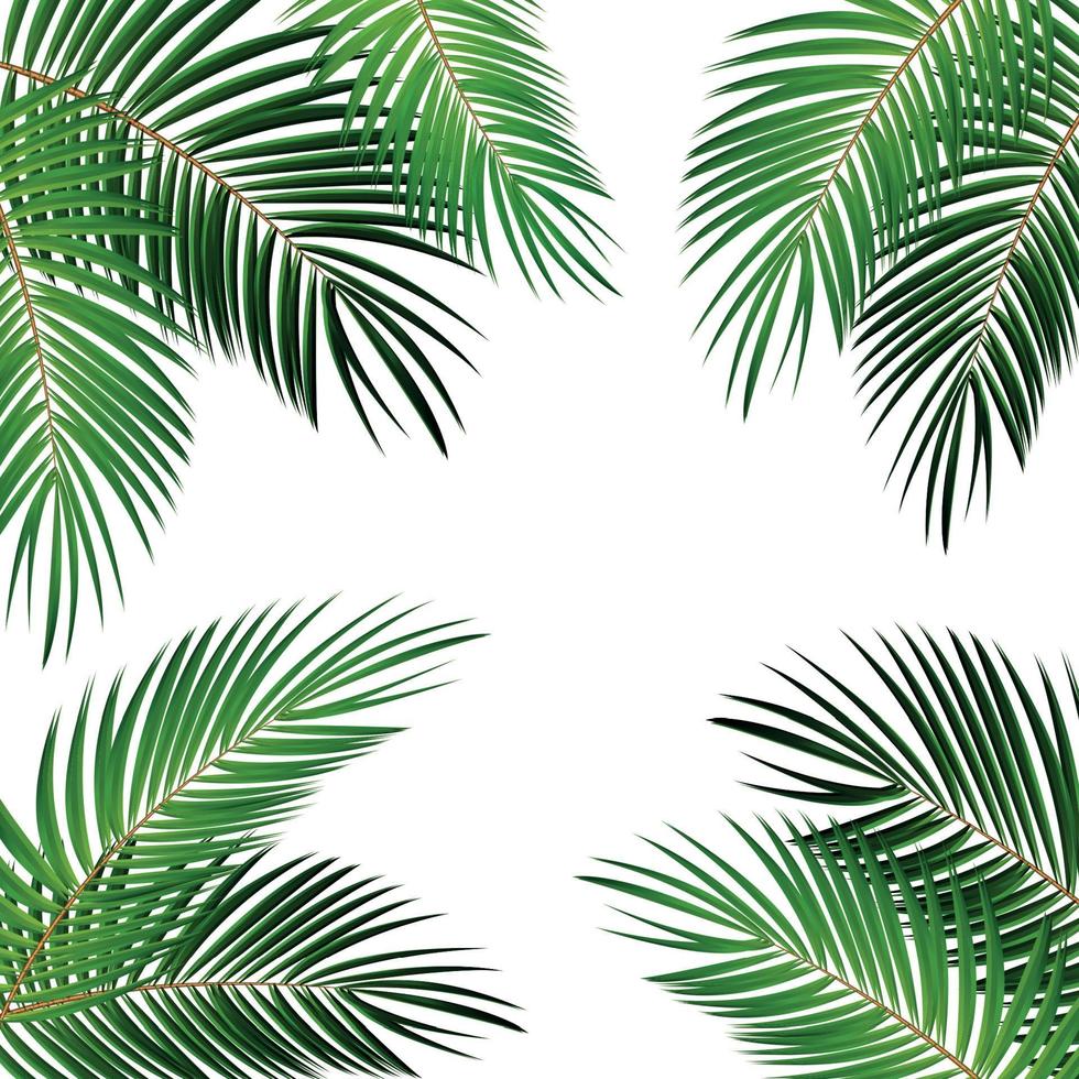 Palm Leaf Vector Background Illustration