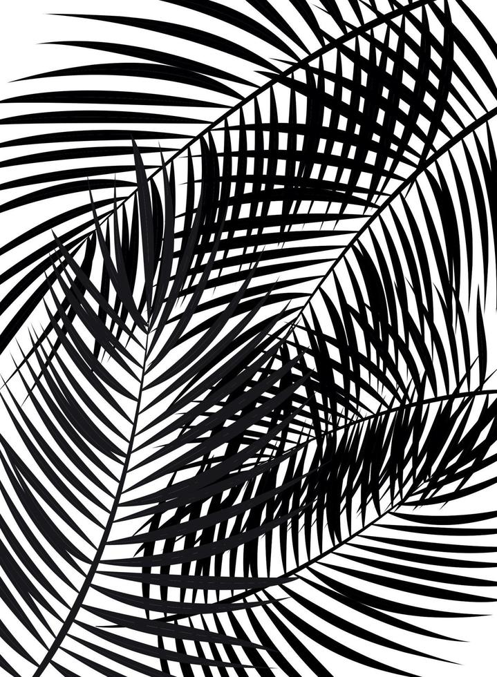 Palm Leaf Vector Background Illustration