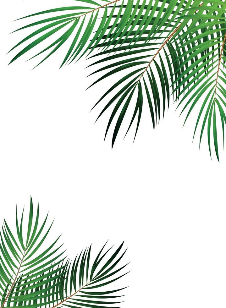 Palm Leaf Vector Background Illustration