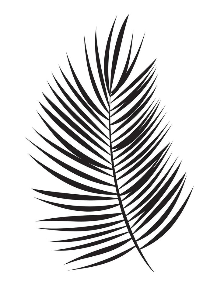 Palm Leaf Vector Background Illustration