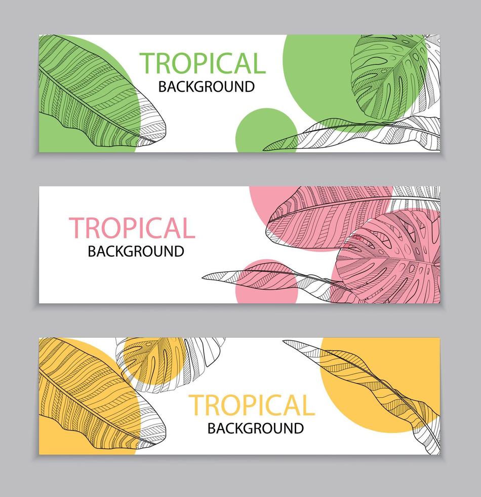 Abstract tropical banana and monstera palm leaves tropical background. Vector Illustration