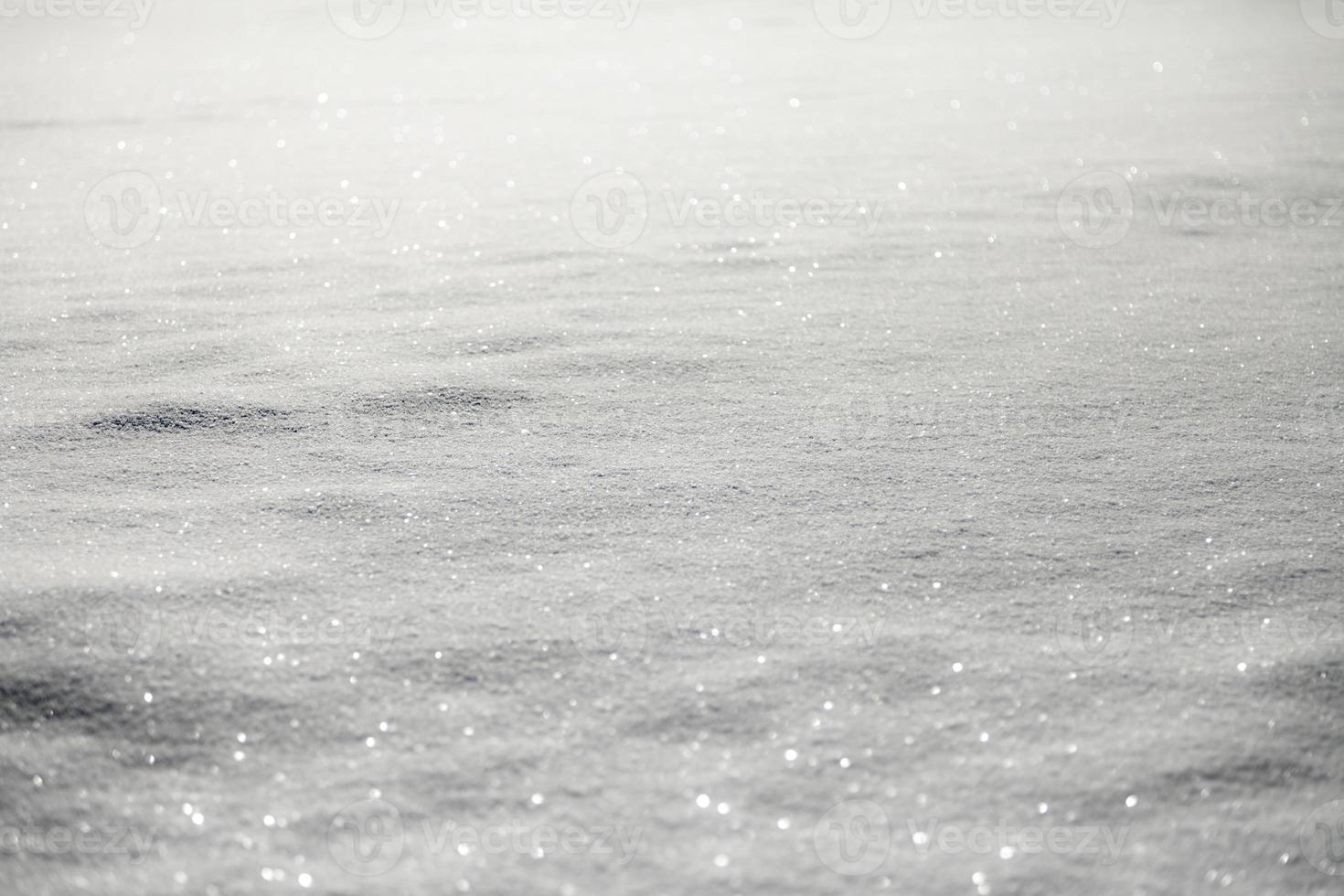 Shiny White Snow Carpet photo