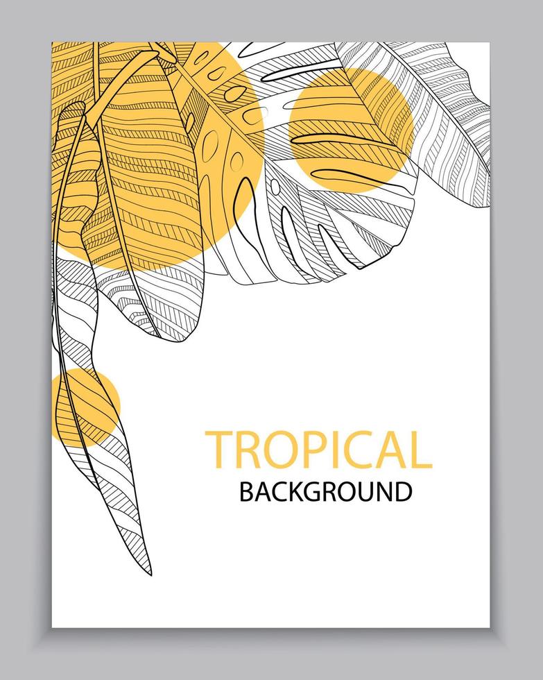 Abstract tropical banana and monstera palm leaves tropical background. Vector Illustration