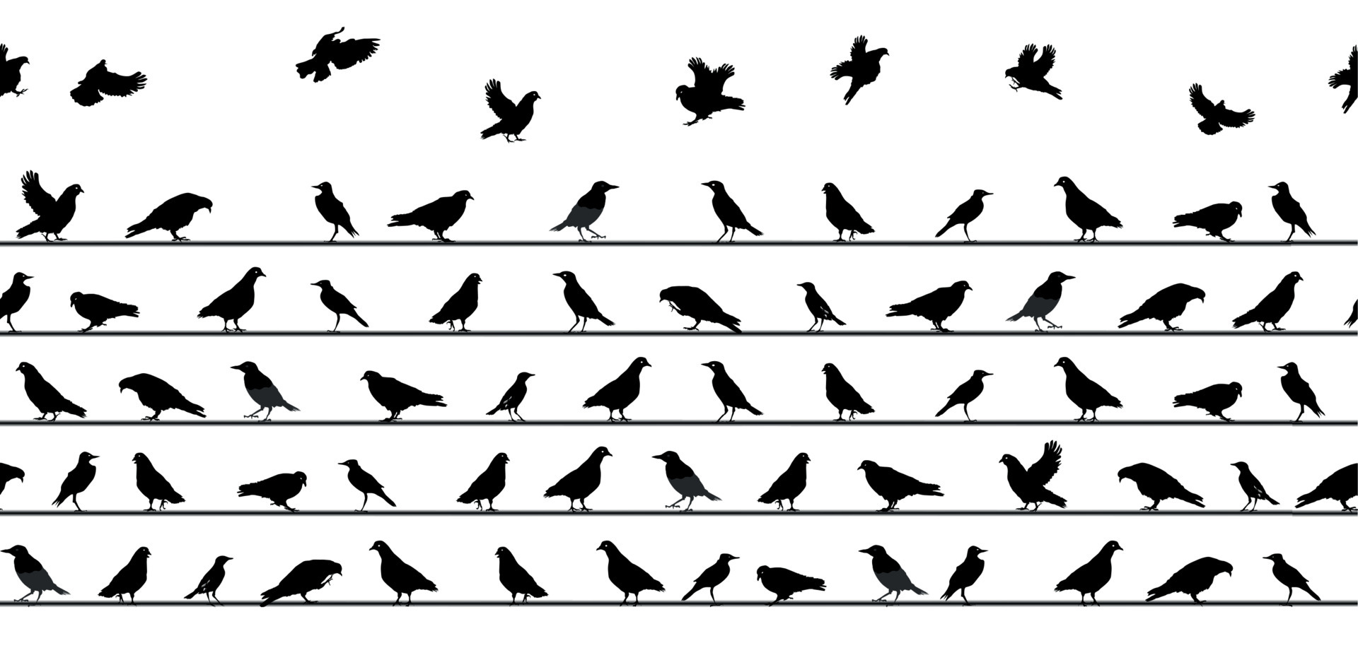 Bird Sitting Vector Art, Icons, and Graphics for Free Download