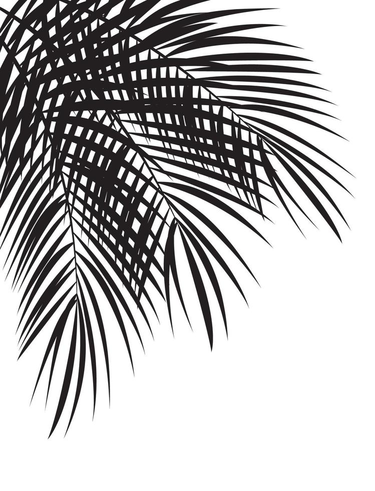 Palm Leaf Vector Background Illustration