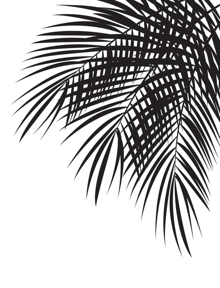 Palm Leaf Vector Background Illustration