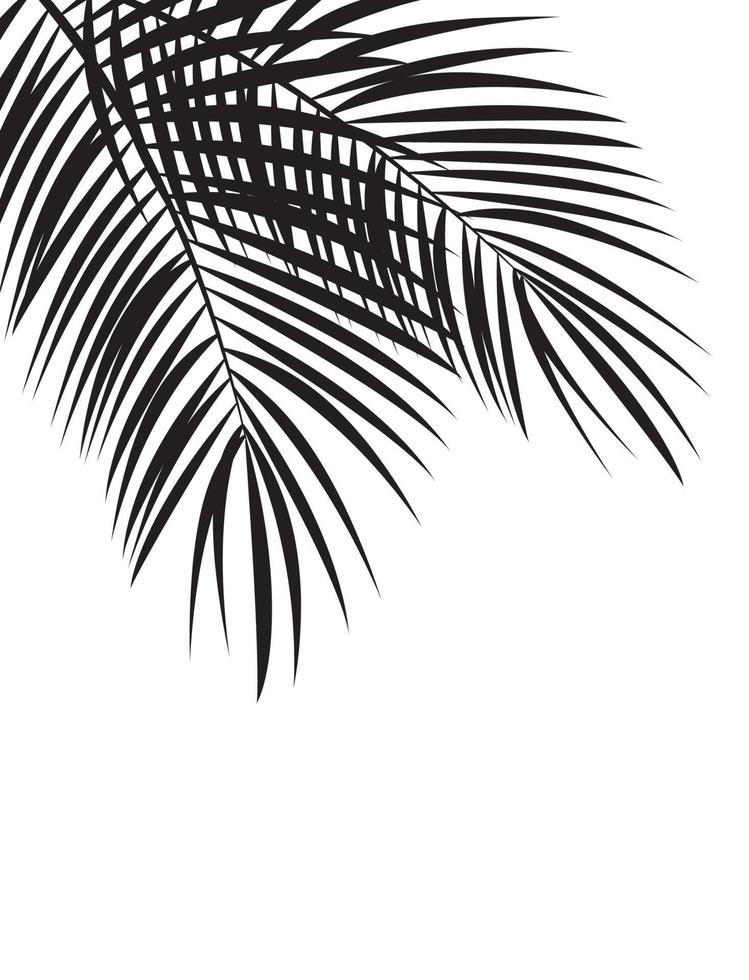 Palm Leaf Vector Background Illustration