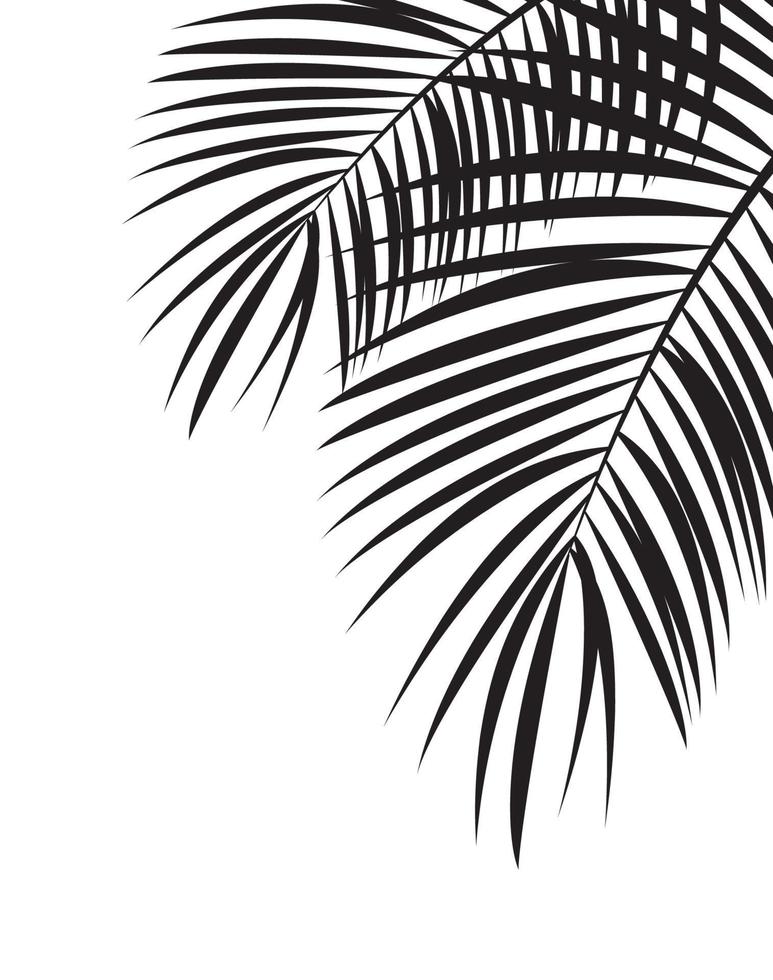 Palm Leaf Vector Background Illustration