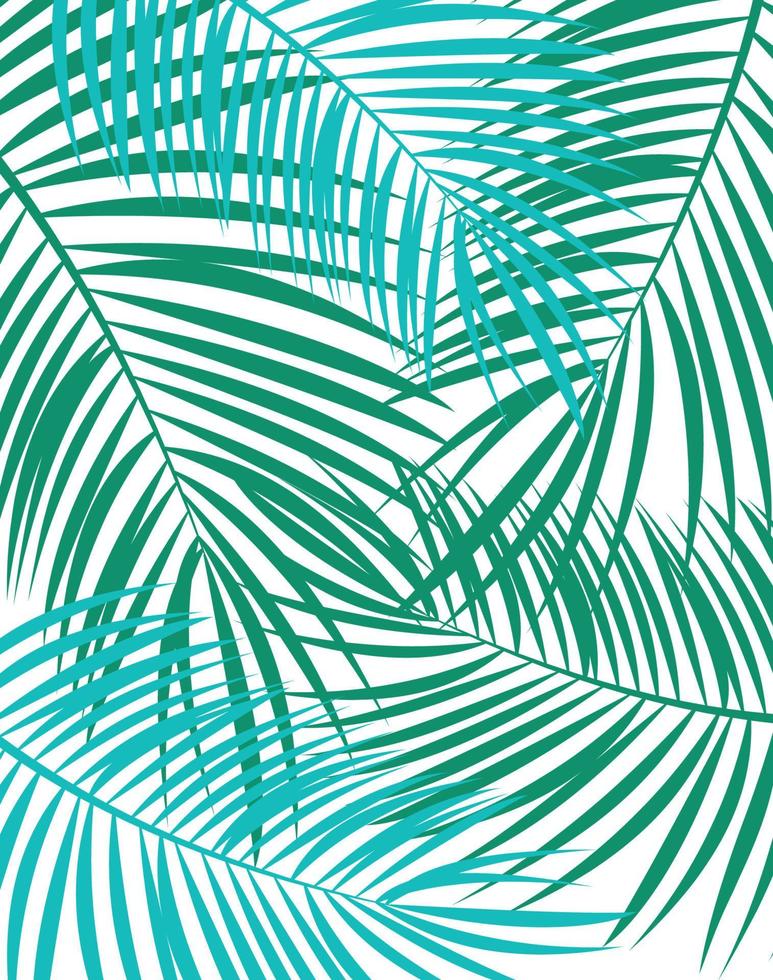 Palm Leaf Vector Background Illustration