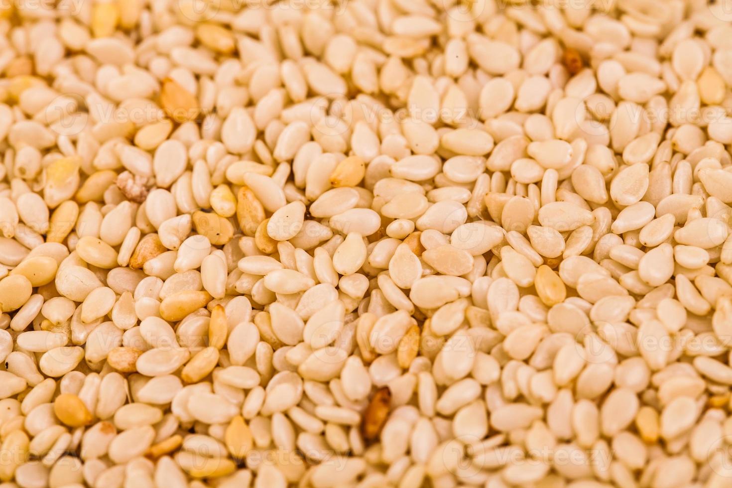 Extreme Closeup of Sesame Seeds Texture photo