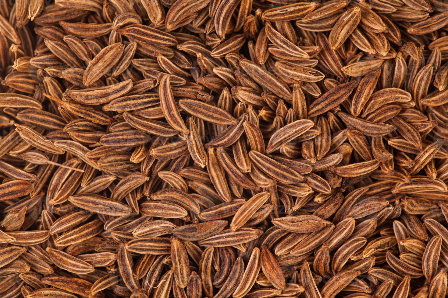 Caraway Seeds closeup photo