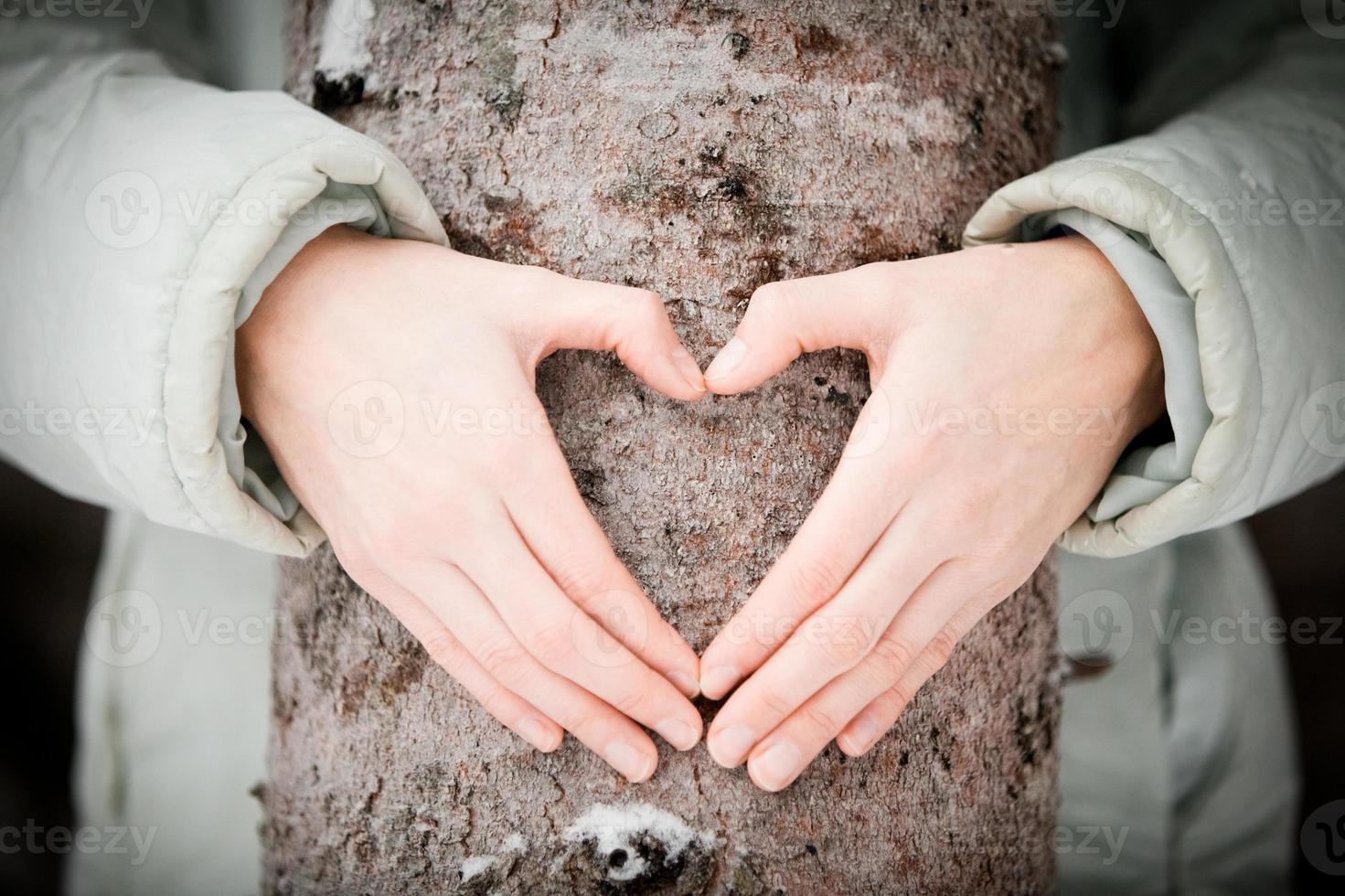Tree lover closeup photo